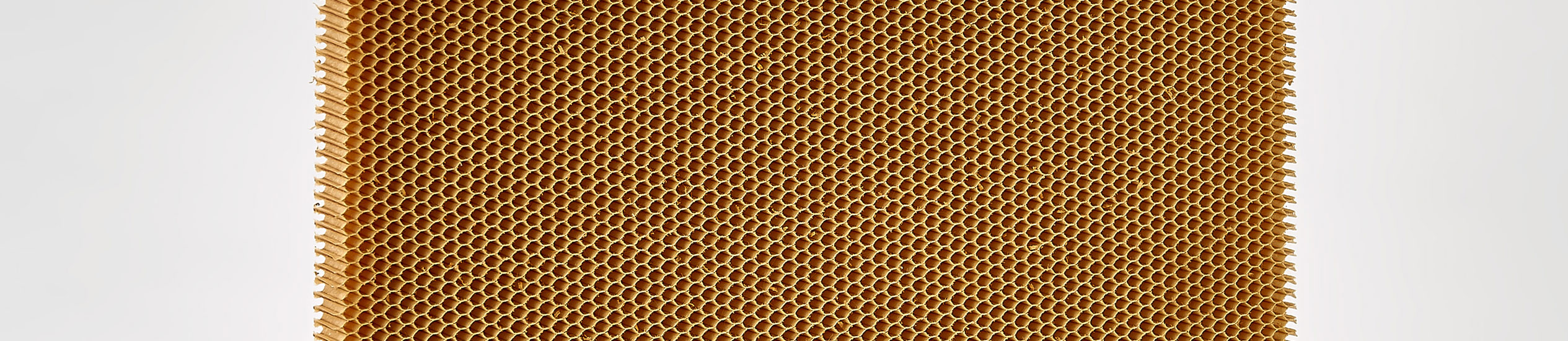 Il nido d'ape in Nomex® è un prodotto non metallico, leggero e resistente realizzato con carta aramidica. È usato principalmente nel settore aeronautico.