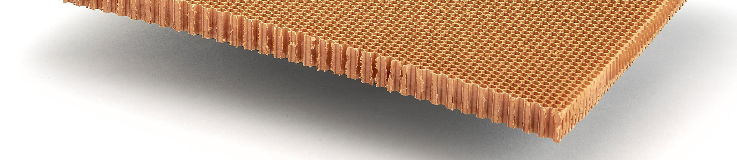 Il nido d'ape in Nomex® è un prodotto non metallico, leggero e resistente realizzato con carta aramidica. È usato nel settore navale, ferroviario e aeronautico.